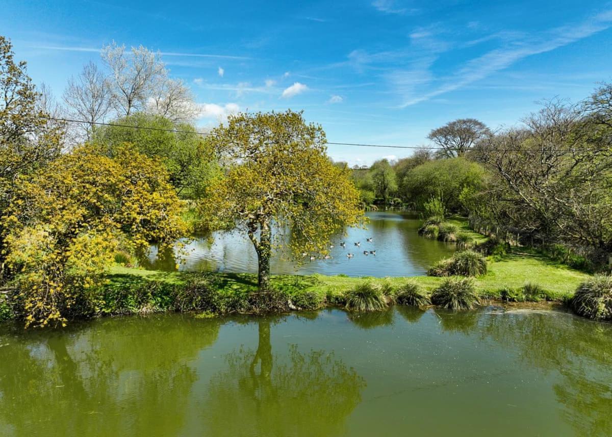 Meadow Lakes Holiday Park St Austell Luaran gambar
